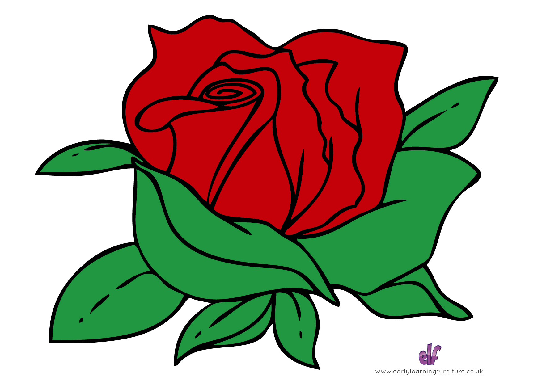 Free Teaching Resources Flowers- Coloured Rose