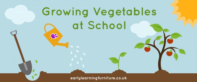 Growing Vegetables at School