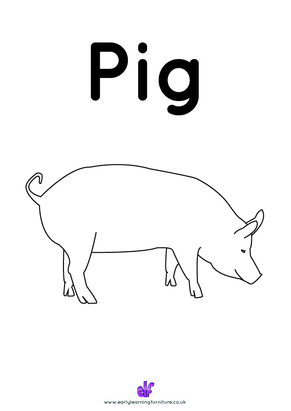 Free Teaching Resources Farm Animals- Pig
